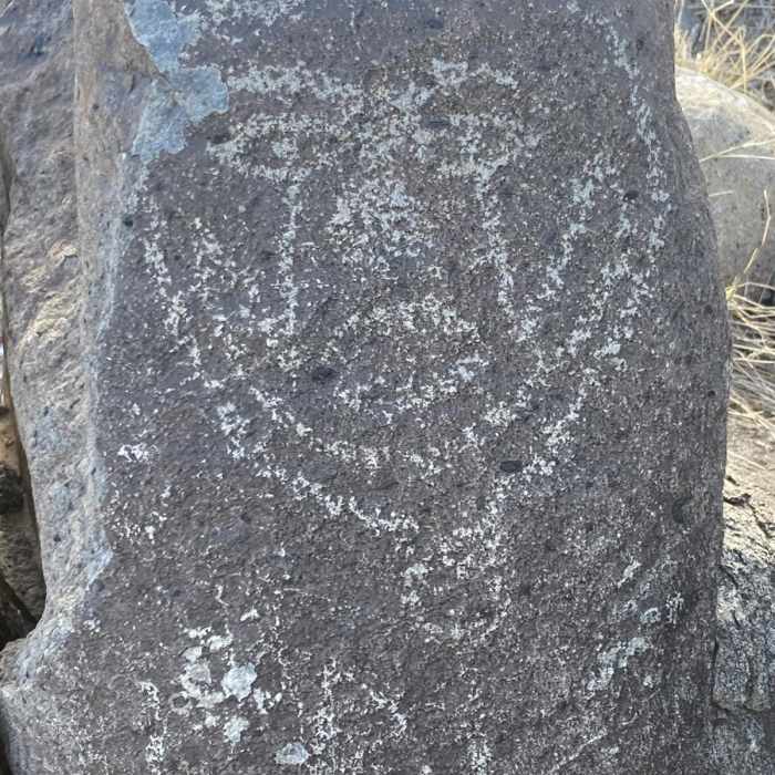 Near Petroglyph Trail