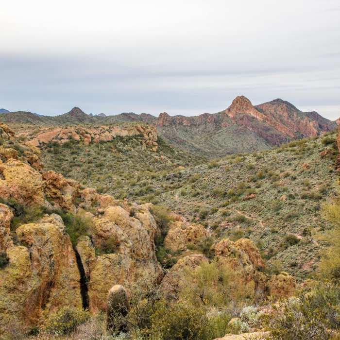 Near Second Water Trail to Hackberry Springs Loop