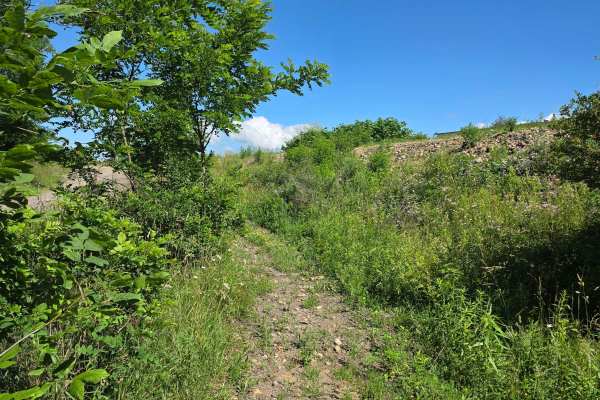 Single Track S1