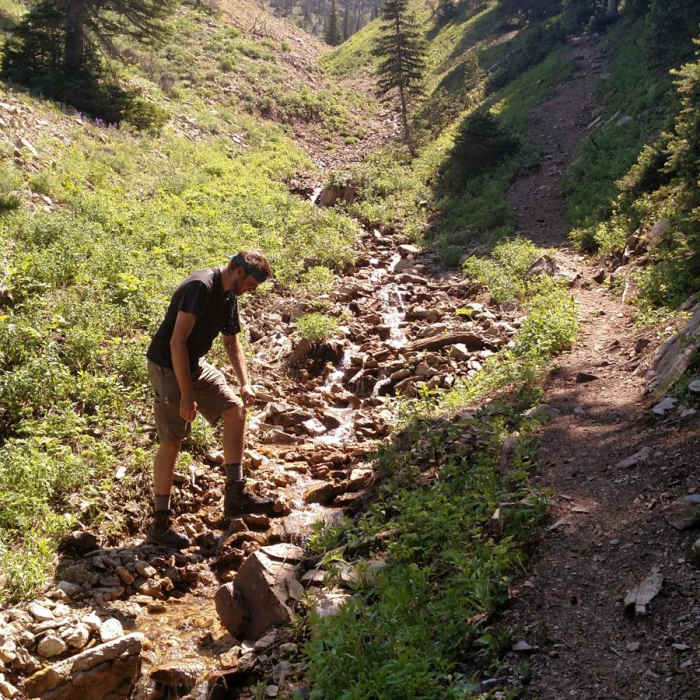 Near Livingston Peak