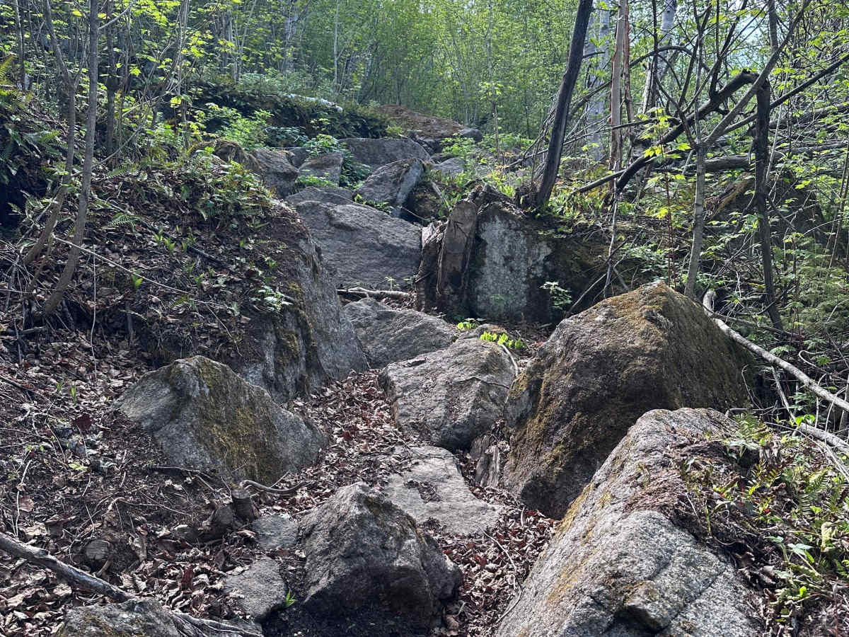 Valhalla Bound photo 6