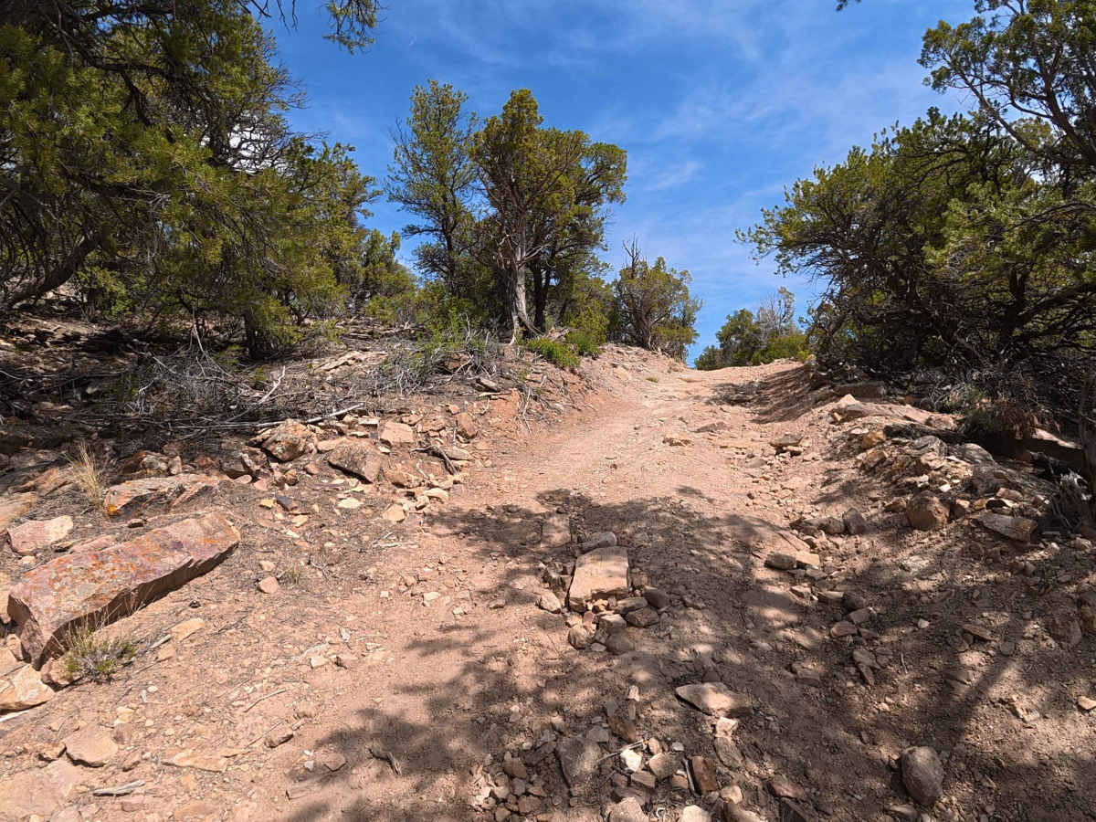Little Mesa photo 6