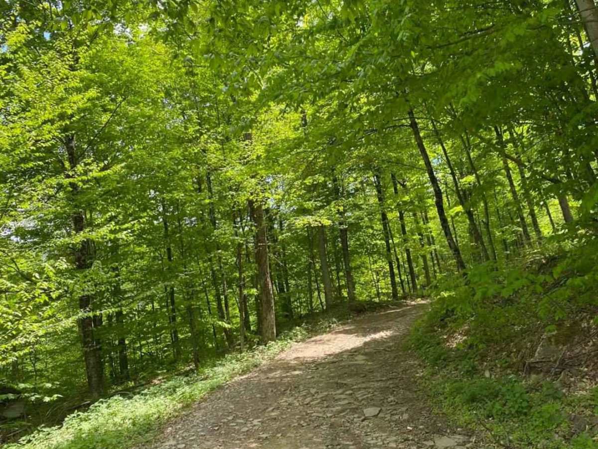 Big Valley Road trail photo