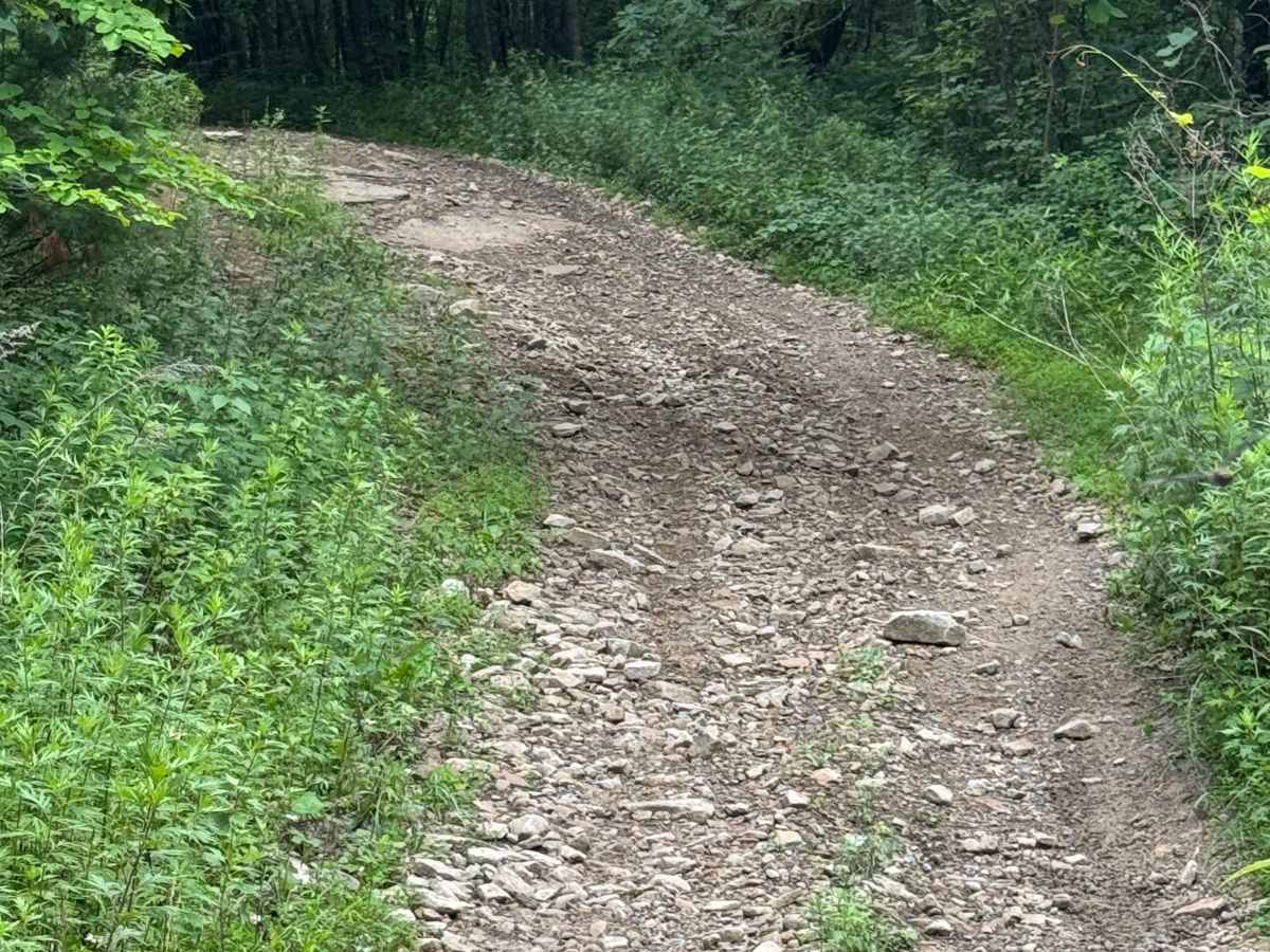 Trail 24 photo 3