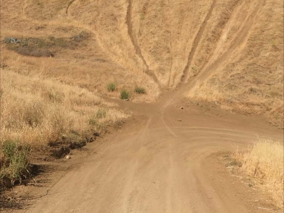 Juniper Trail photo 6