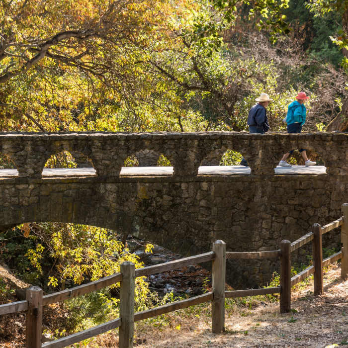 Near North Rim Trail