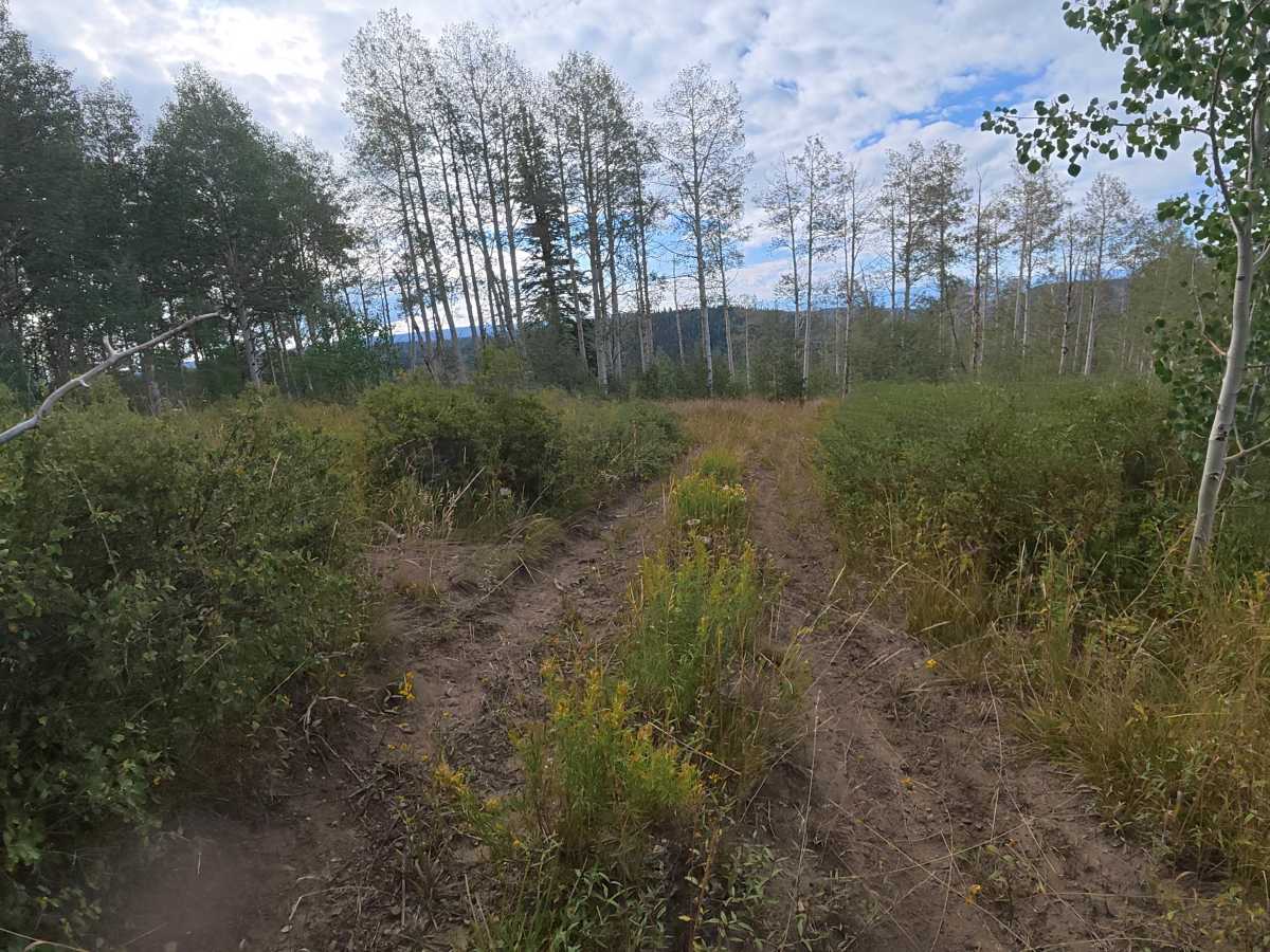 Joe Mule Park - FS 245 photo 2