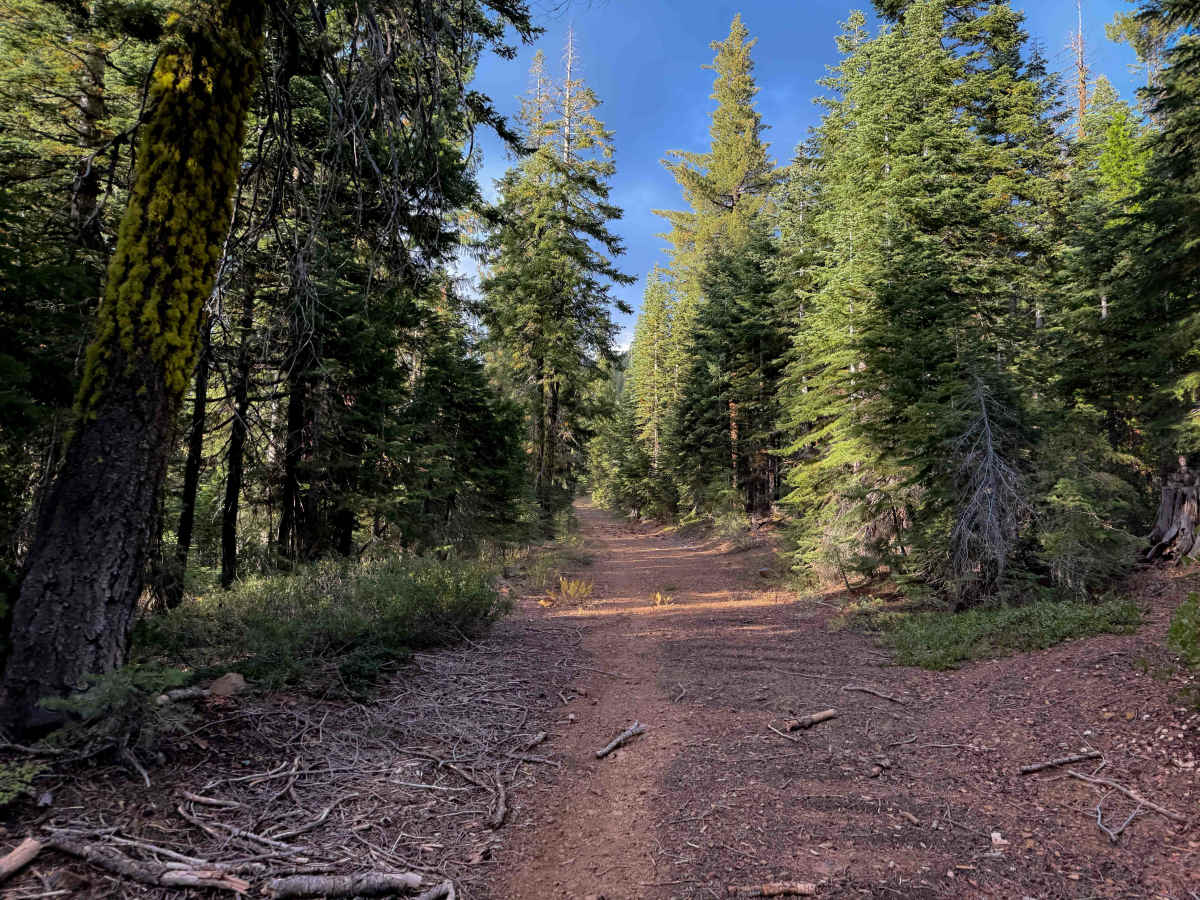 Grizzly Ridge  photo 5