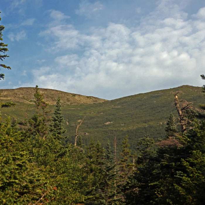 Near Pinkham Notch to Mount Washington Summit Near Pinkham Notch to Mount Washington Summit