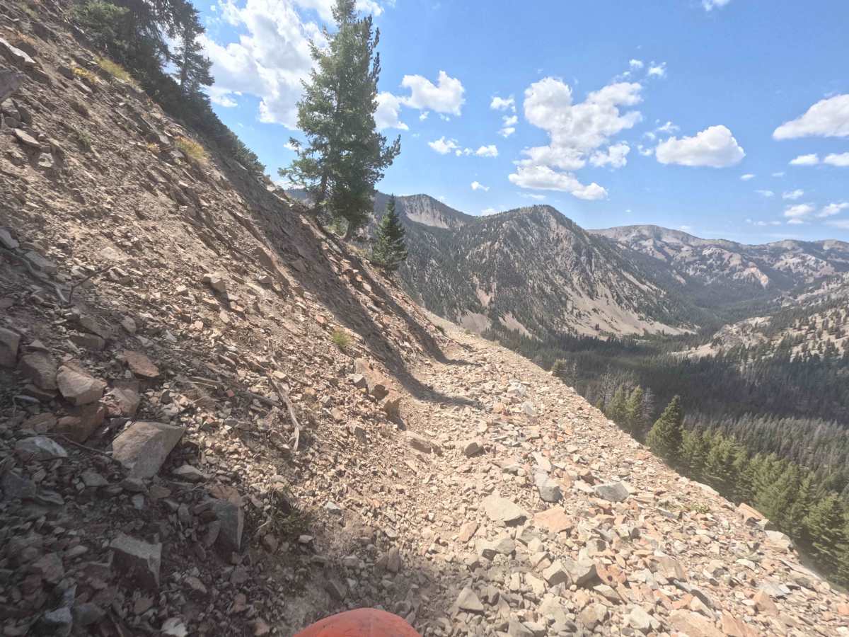 Mule Creek - FS 7198 trail photo