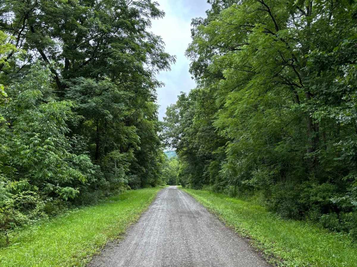Warren Road photo 3
