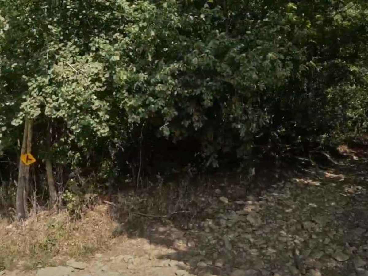 Chatfield SW ATV Loop photo 6