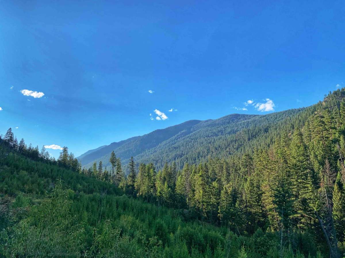 Big Creek Trailhead photo 6