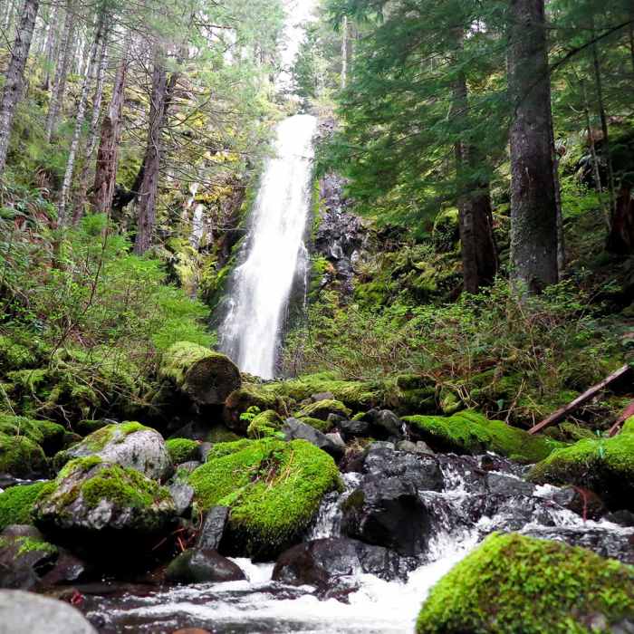 Near Hidden Falls via Tarbell Trail