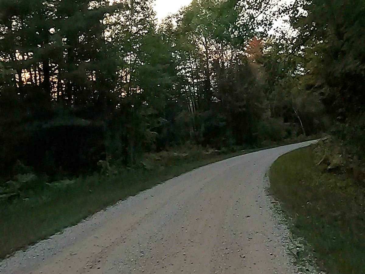 Carp River Road - FS 3308  photo 3