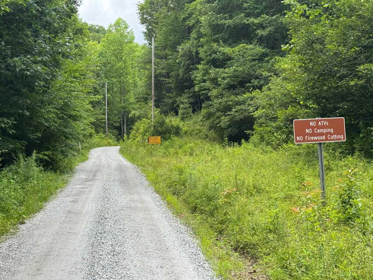 Shope Fork - FS 751 trail photo