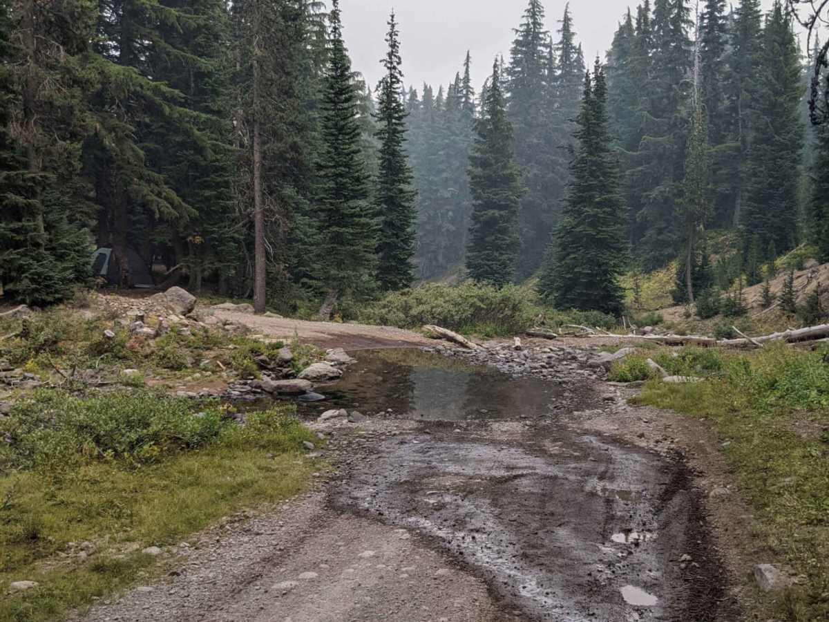Todd Lake TH trail photo