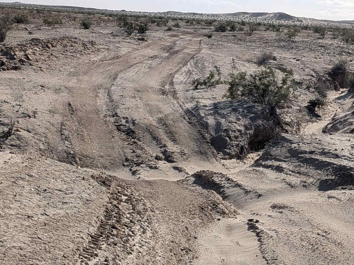 BLM 327 photo 6