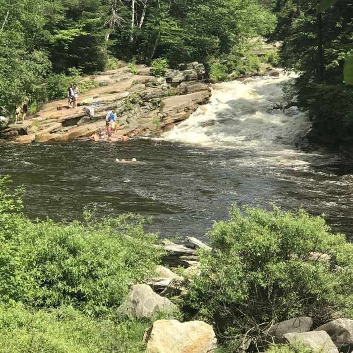 Near Lower Ammonoosuc River Falls Trail