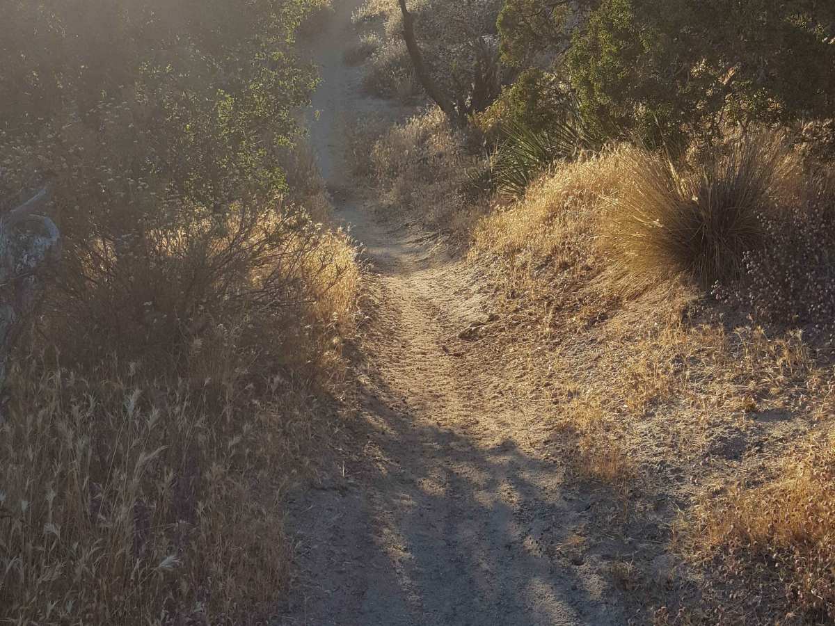 Trail 23 photo 3