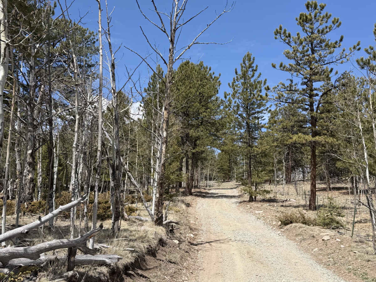 West Columbine Gulch Road photo 6