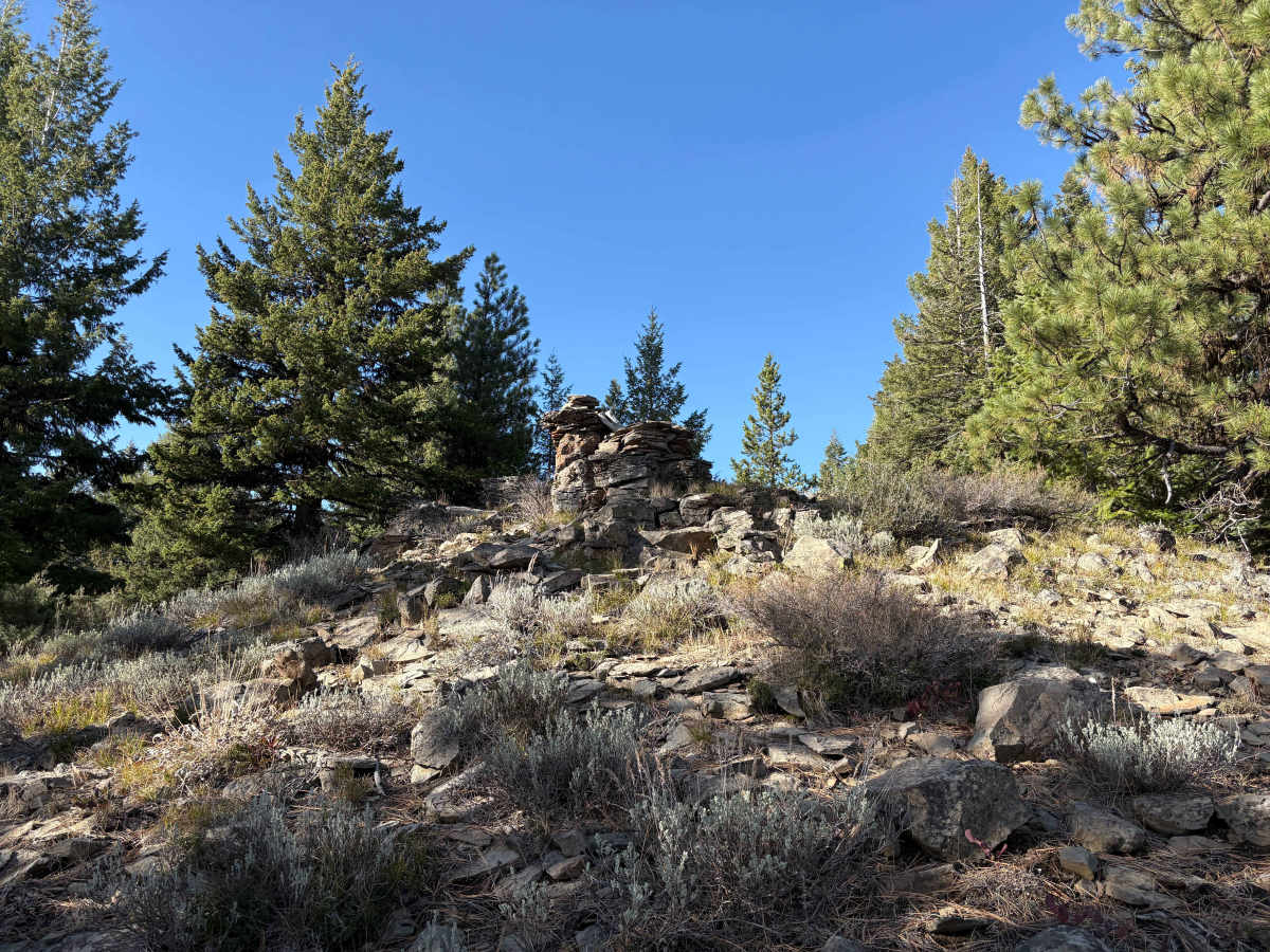 Sharps Ridge - FS 3026 photo 3