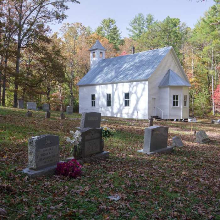 Near Cades Cove Loop Near Cades Cove Loop