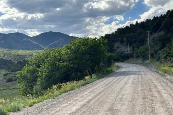 Rifle Creek Road