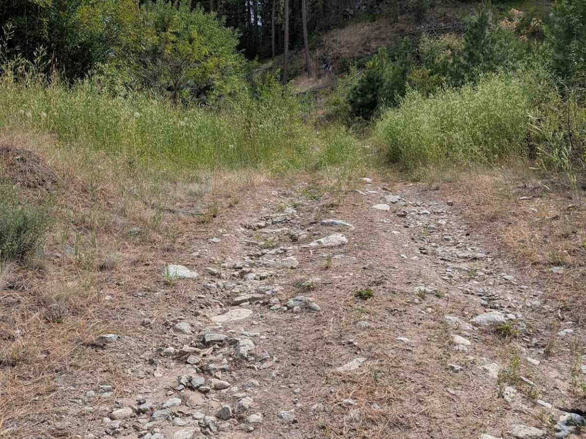 E282514e trail photo