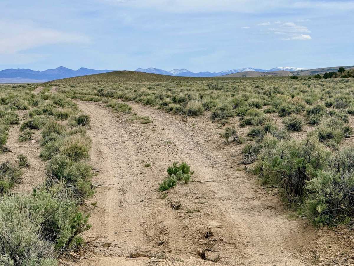 Stonebridge Connector - BLM138 photo 3