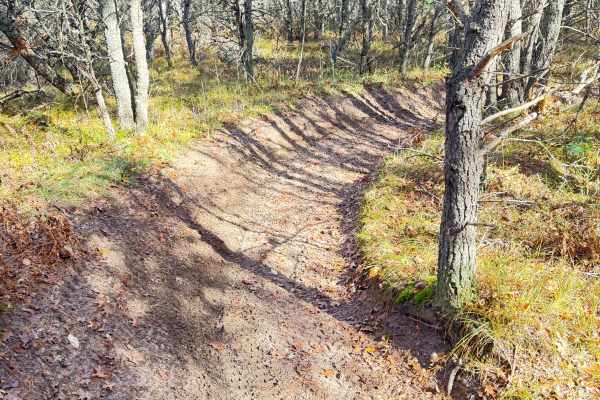 Ambrose Lake to Rose City Trail
