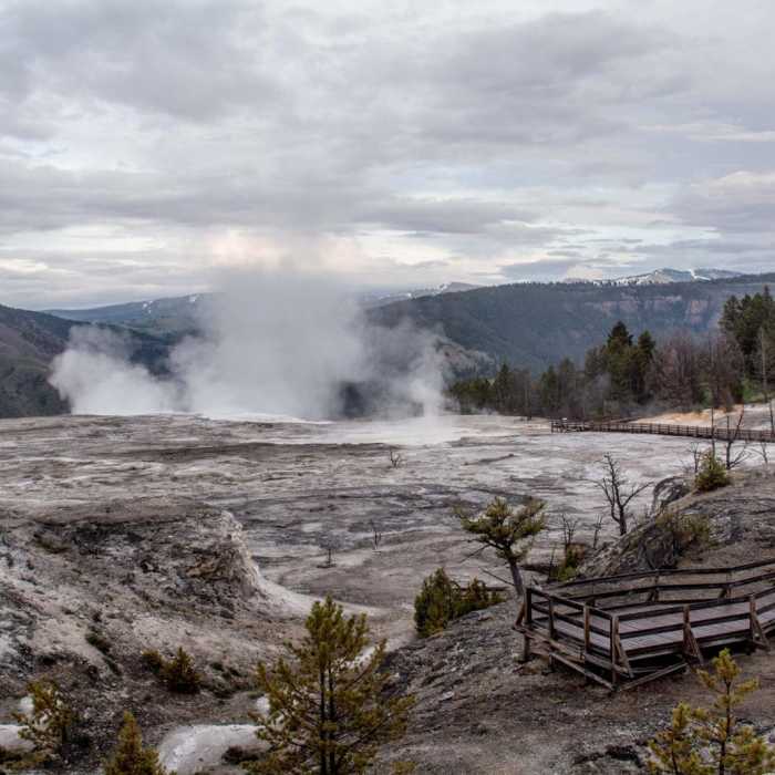 Near Mammoth Hot Springs