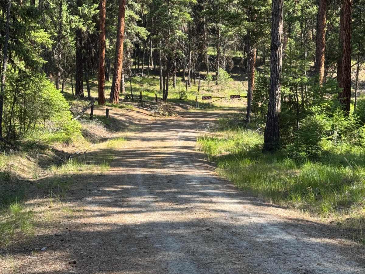 Mayo Gulch  photo 2