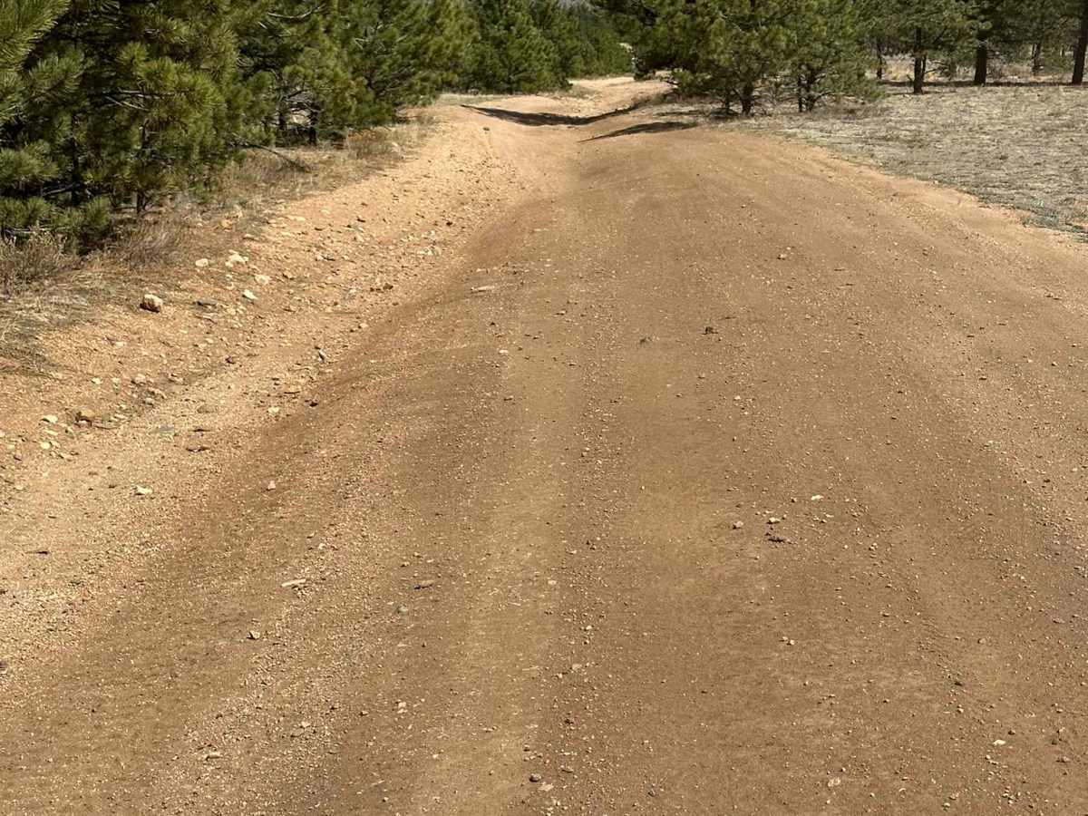 Boomer Road photo 5
