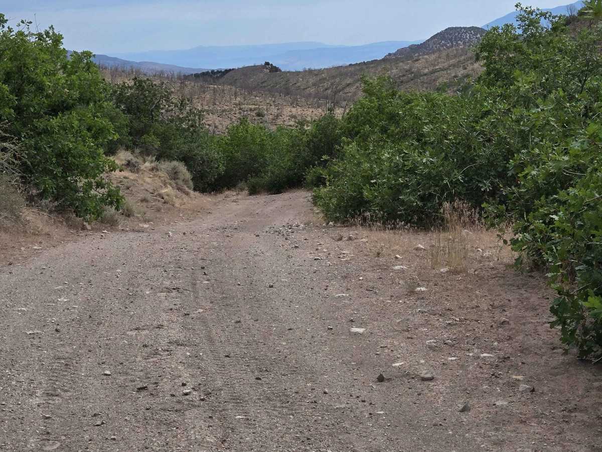 Downhill Wash Road - FS 41040 photo 4