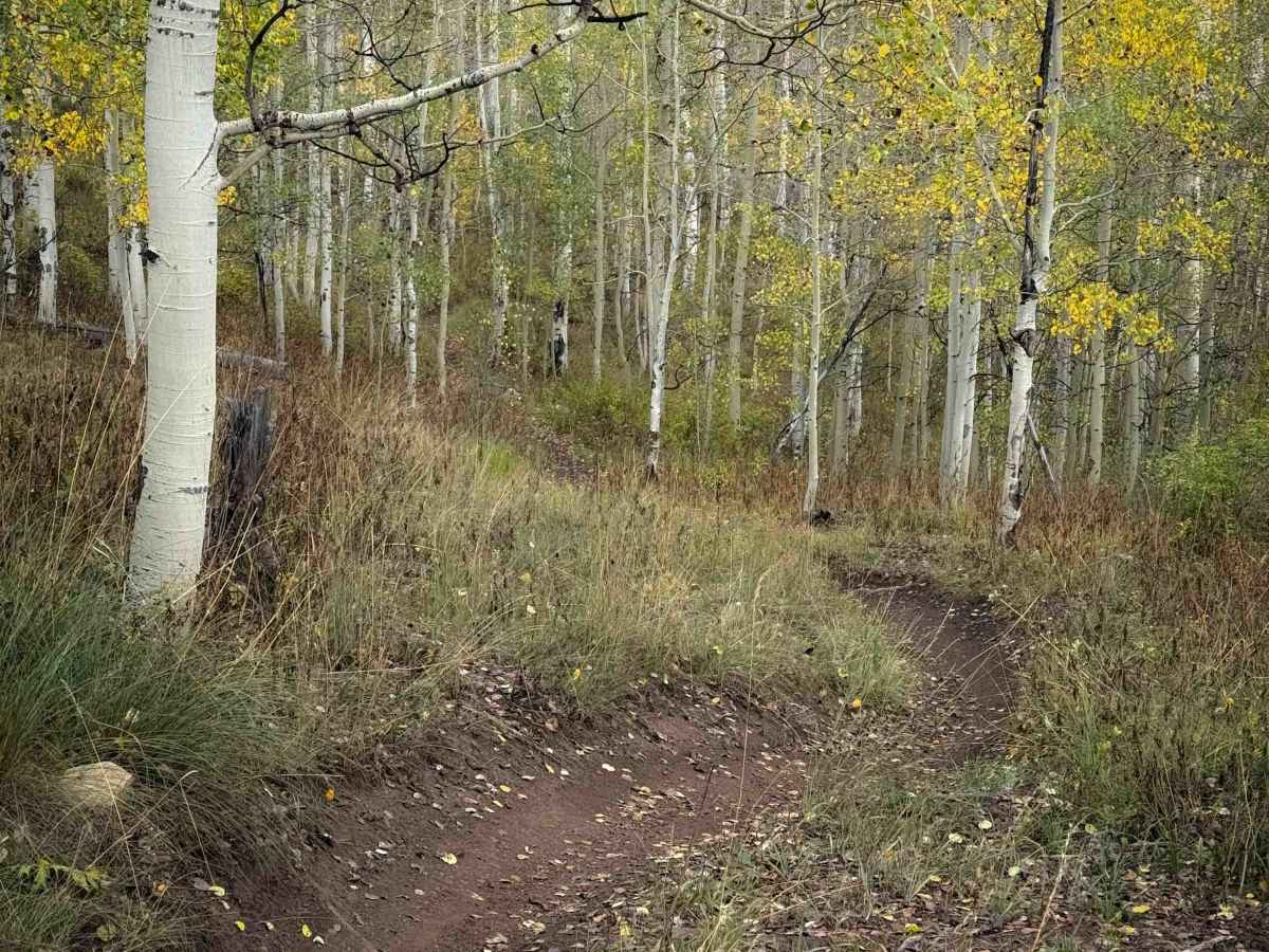 Warm Springs Trail 406  photo 6