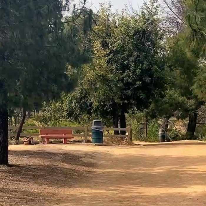 Near Commonwealth to Observatory Loop