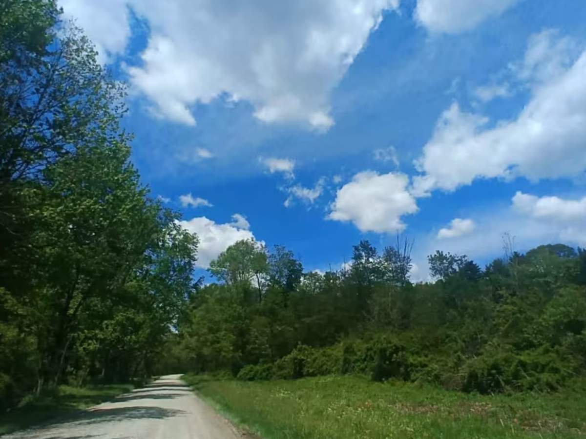 Number 8 Hollow Road photo 4
