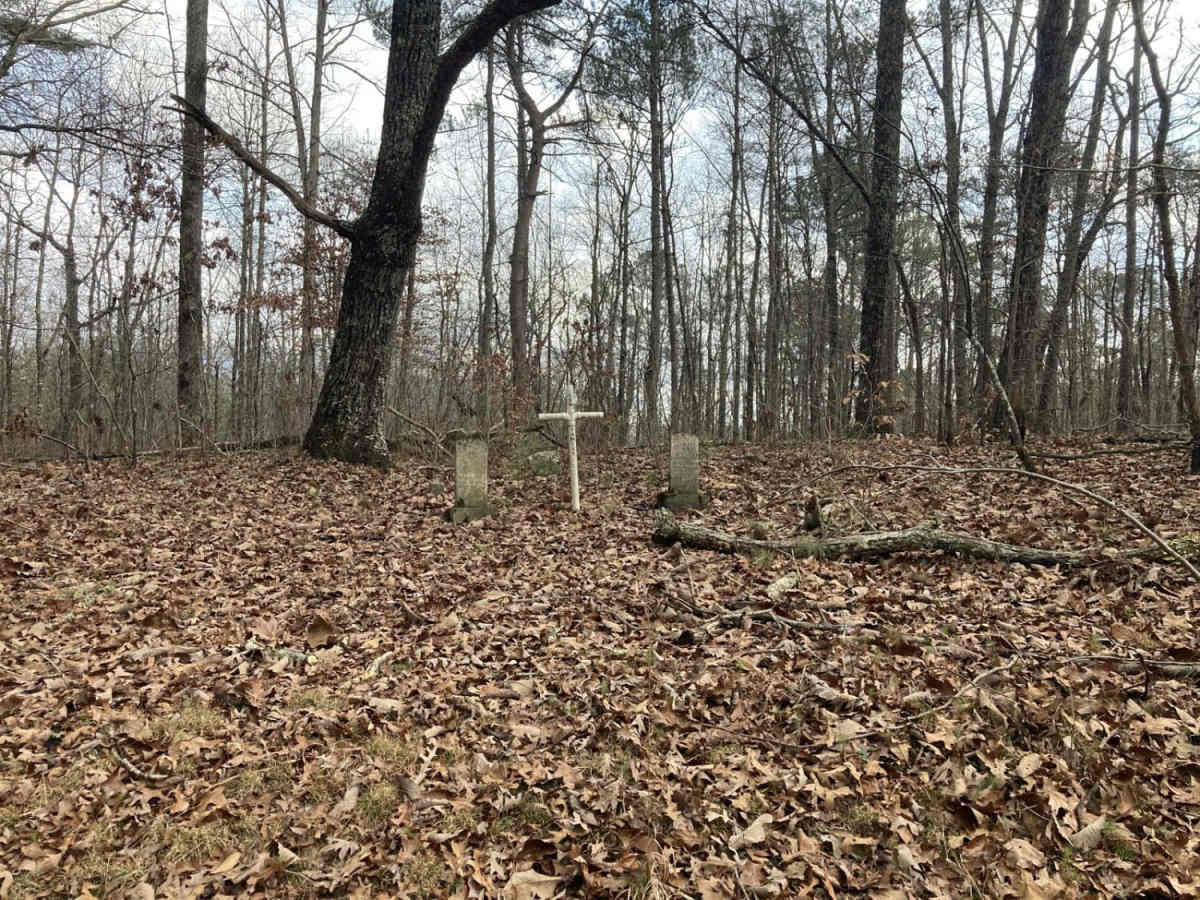 Bankhead Roads photo 3
