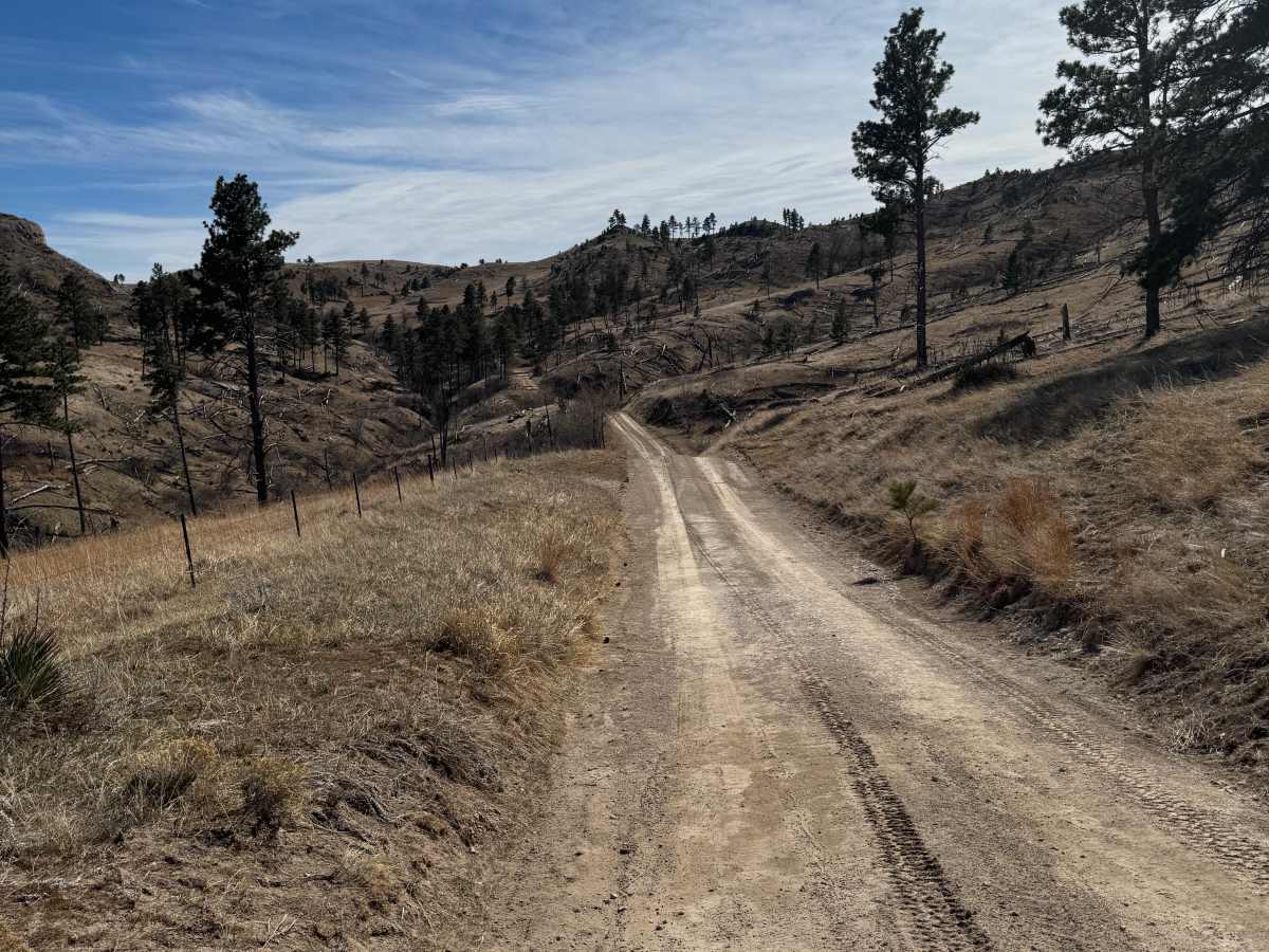 Kings Canyon Trail photo 3
