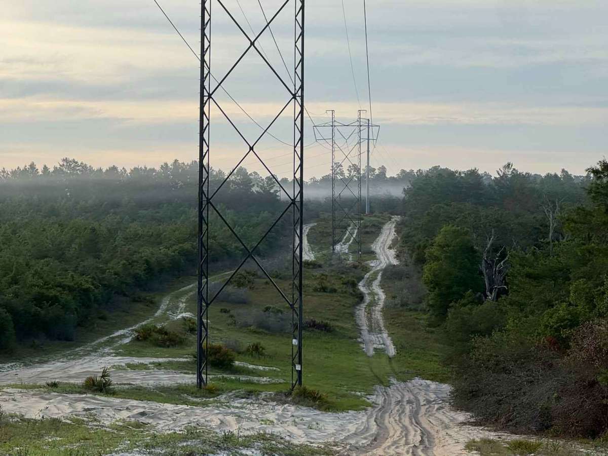 Powerline Plains trail photo