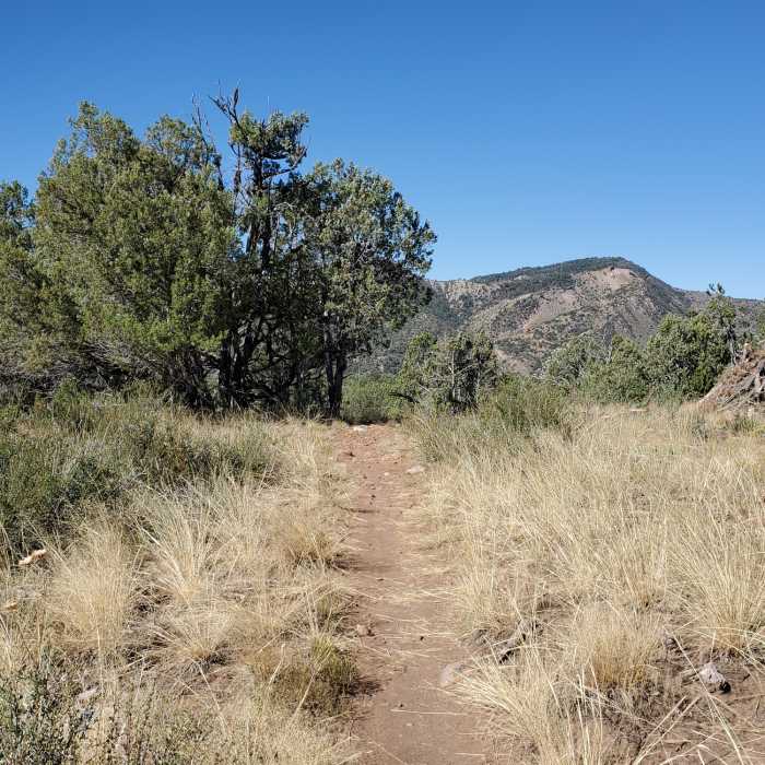 Open, grassy terrain up on the mesa. Near South Rim Trail