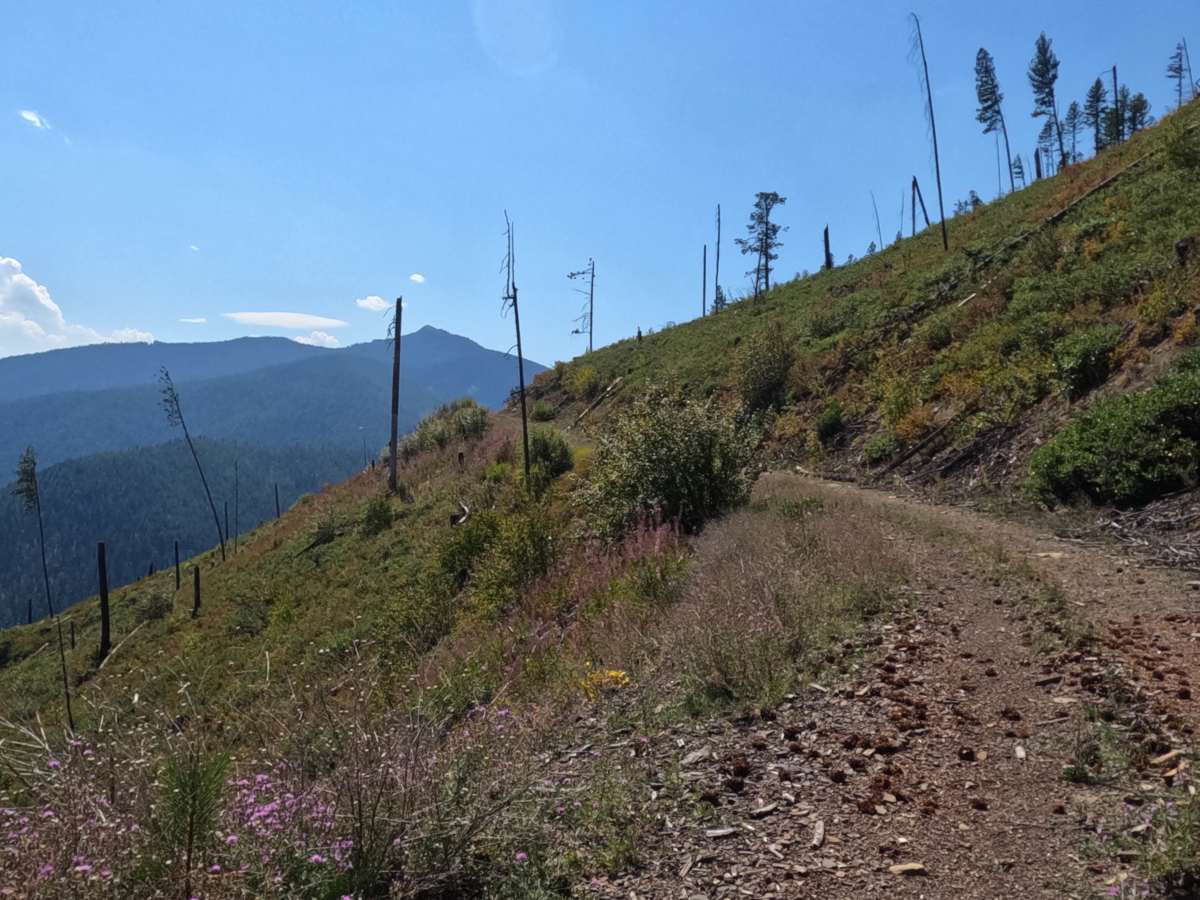 Quartz Ridge photo 3