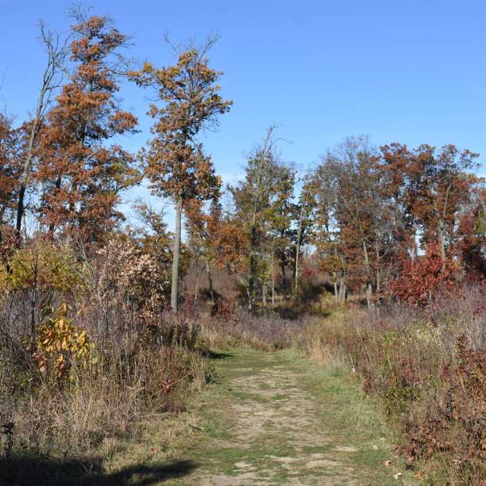 Near Blue Hill Trail Near Blue Hill Trail