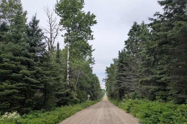 Little Creek Road
