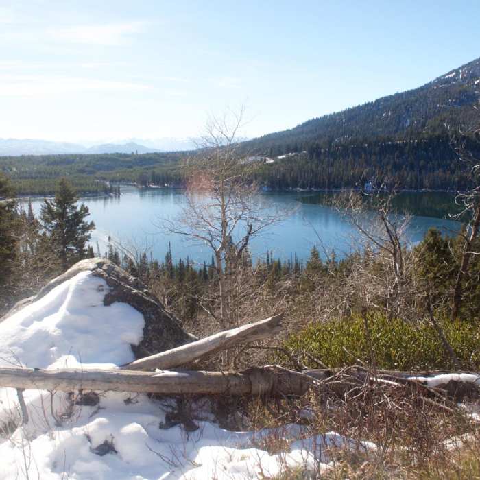 Near Bradley - Taggart Loop