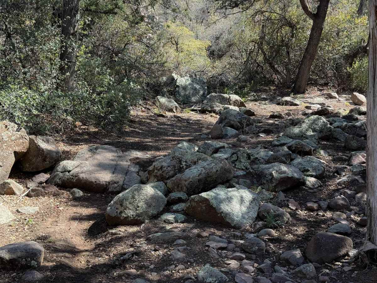 Coldwater Trail #21 (Singletrack)   photo 5