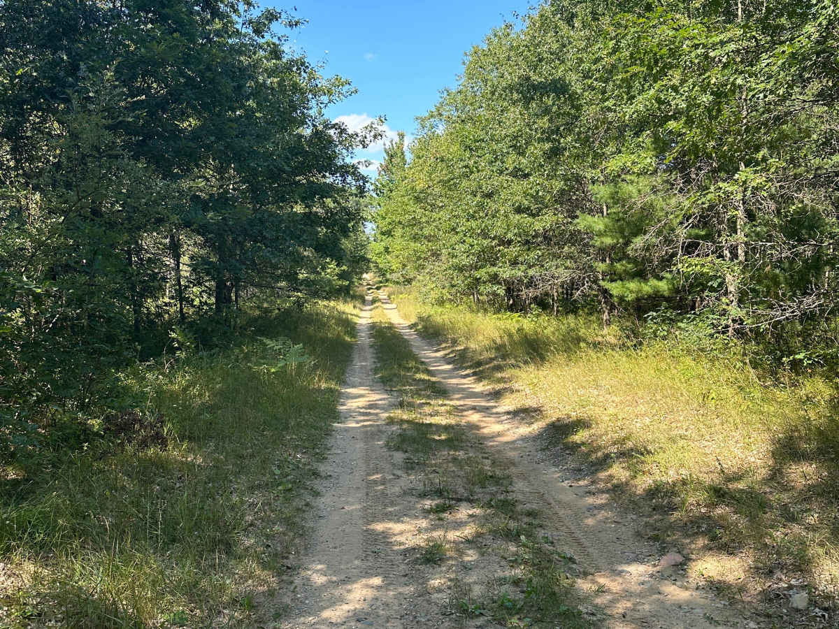 Bear Loop photo 6