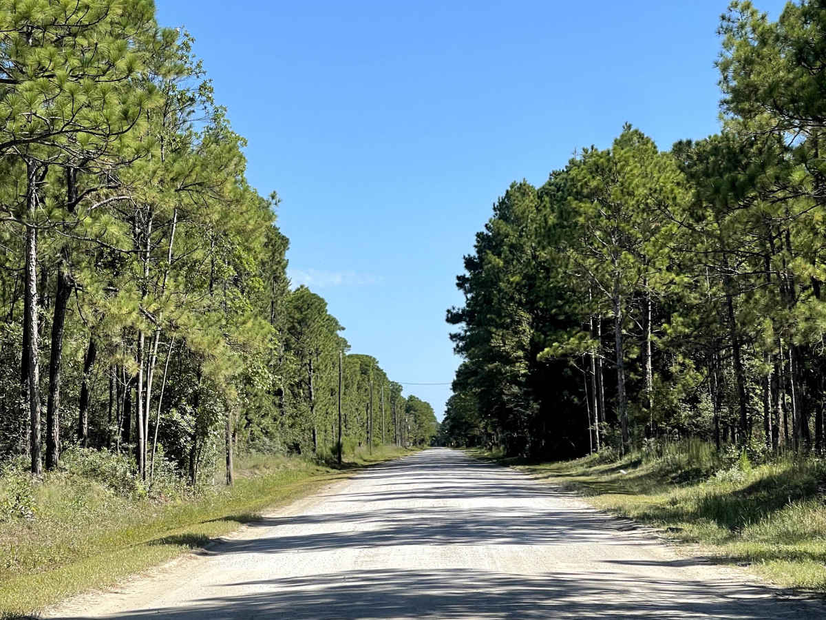 Juniper Road photo 3