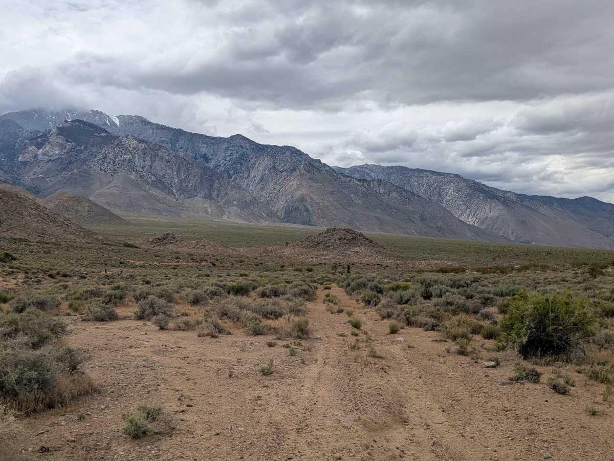 BLM SE741a photo 4